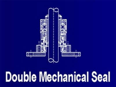 DOUBLE MECHANICAL SEALS MODEL