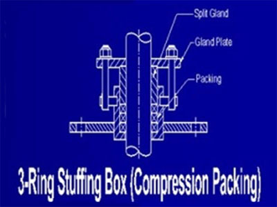 STUFFING BOX MODEL